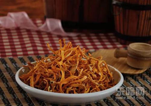 虫草花的吃法及用量