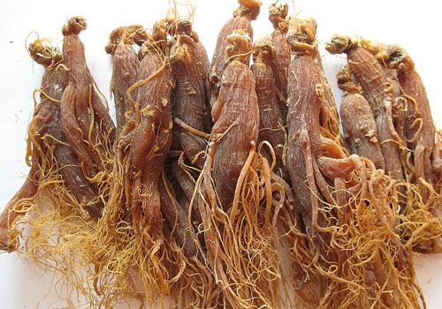 315晚会:你买的人参可能一半是白糖-乐哈健康