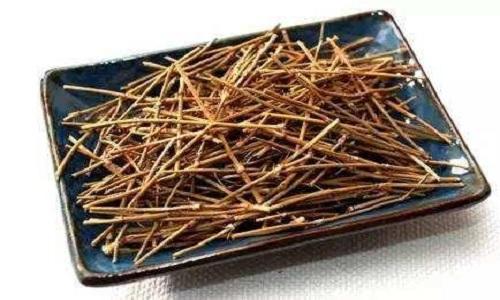 慢性支气管炎吃什么中成药,慢性支气管炎中药