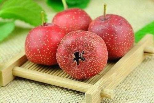 怀孕不能吃什么水果 女性备孕期间有什么需要