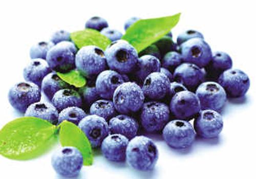 吃蓝莓会中毒吗