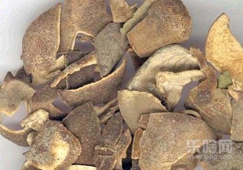 青皮的功效与作用及禁忌,青皮的功效与作用禁