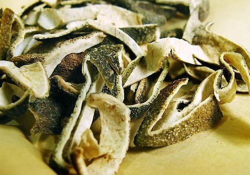 青皮的功效与作用及禁忌,青皮的功效与作用禁