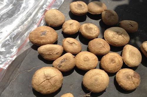 中药外用止痛药有哪些,止痛中药外敷治疗