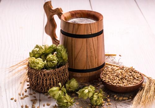 啤酒可以浇花吗