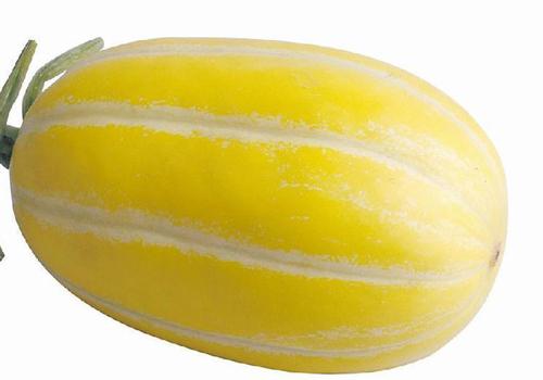 香瓜里面的瓤可以吃吗,香瓜里面的籽可以吃吗