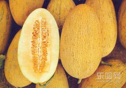 哈密瓜产妇可以吃吗,哈密瓜产妇能吃吗-乐哈健