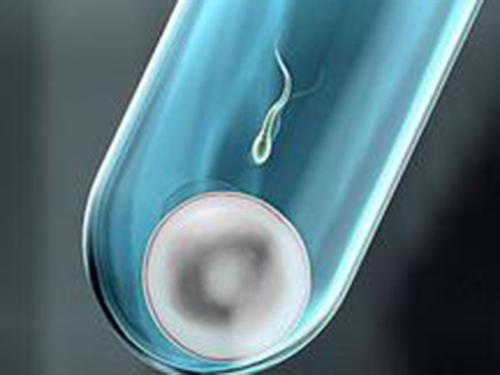 国内首例单精子试管婴儿成功-乐哈健康网