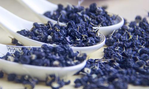 黑枸杞性温还是性寒