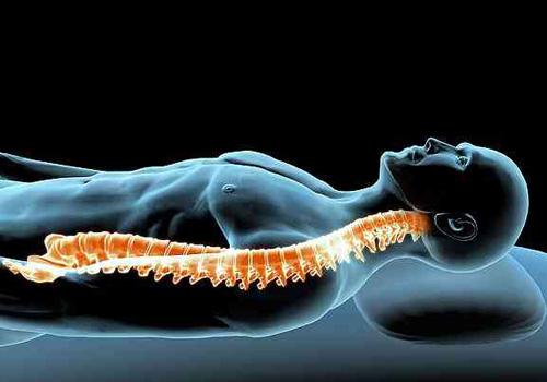 治疗急性脊髓损伤 我国取得重大突破-乐哈健康网