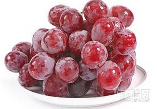 提子皮上的白霜是什么,提子表面白色是什么,提