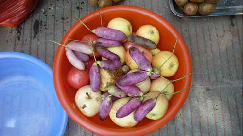 野香蕉的功效与作用