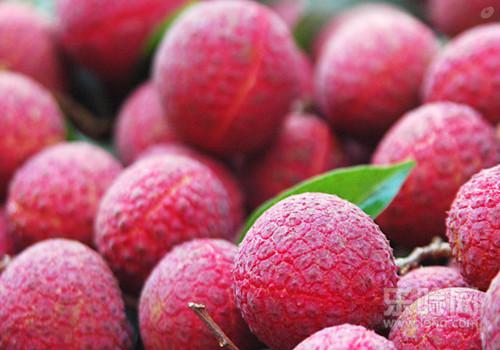 荔枝经期可以吃吗,荔枝月经期间能吃吗,经期能