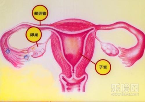 卵巢癌晚期能活多久,晚期卵巢癌能活多久-乐哈