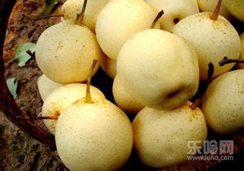 吃雪梨可以减肥吗,雪梨能减肥吗,雪梨可以减肥