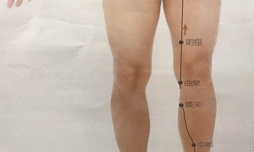 膝关的准确位置图