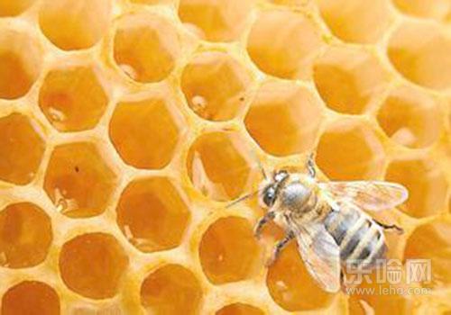 蜂胶什么时候吃最好,蜂胶什么时间吃最好-乐哈