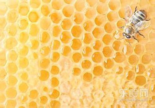 蜂胶什么时候吃最好,蜂胶什么时间吃最好-乐哈