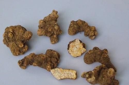 什么中药去湿气最好,祛湿气最好的中成药