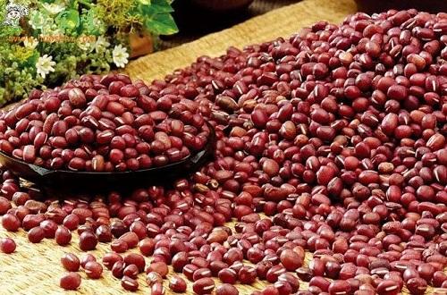 什么中药去湿气最好,祛湿气最好的中成药