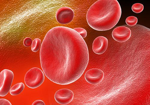 红细胞计数偏低是什么原因,红细胞计数偏低是