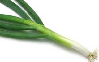 葱不能和什么一起吃,葱不能同什么食物一起吃