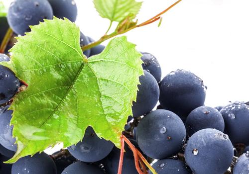 吃什么水果能去痘印 多吃这些痘印不见了