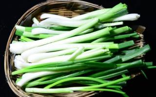 葱不能和什么一起吃,葱不能同什么食物一起吃