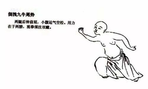 八段锦哪个版本最正宗 八段锦版本八介绍（组图）