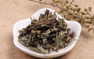 蒲公英和什么一起泡水喝最好 蒲公英和它泡水