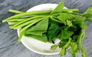 肺不好吃什么食物调理 十种食物帮助你清肺