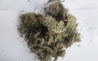 人参泡酒配方大全