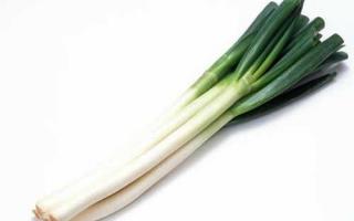 葱不能和什么一起吃,葱不能同什么食物一起吃