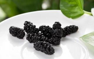 吃桑葚舌头变黑怎么办 舌头染色不害怕,这样做