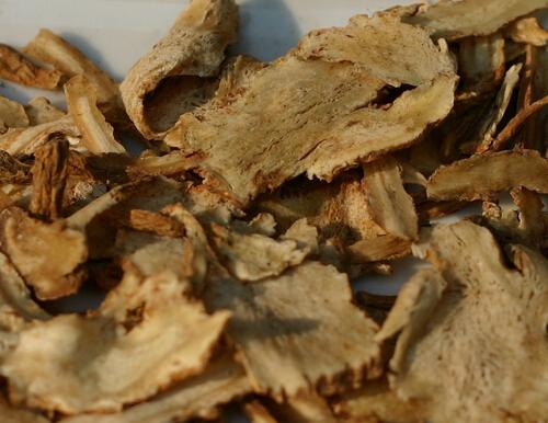 月经一直不来也没怀孕怎么办,月经一直不来怎