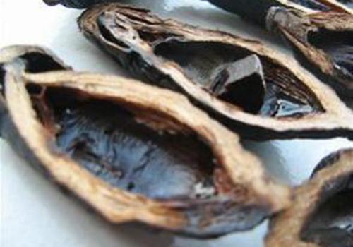 吃槟榔头晕怎么回事,吃槟榔为什么会头晕,槟榔