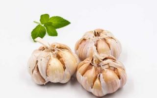大蒜放耳朵有什么作用 大蒜放耳朵要注意什么