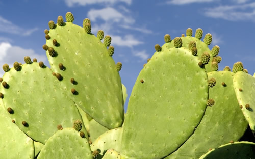 治疗颈椎病的偏方,颈椎病治疗偏方,颈椎病偏方