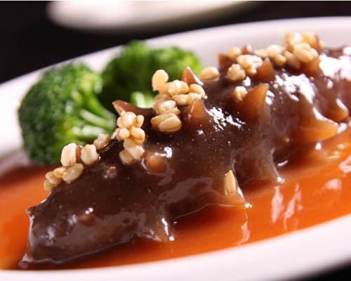 海参的功效与作用及禁忌,海参的功效与作用及