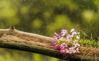 立春前冷还是立春后冷,立春后可以穿春装吗