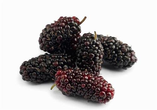 女人吃桑葚有哪些好处