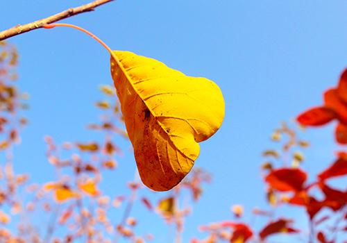 2018年立秋是几月几日