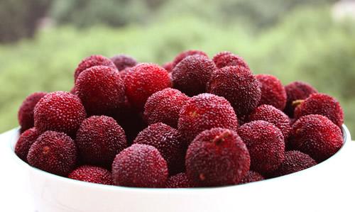 孕妇嘴巴没味道怎么办,孕妇嘴巴没味道怎么调