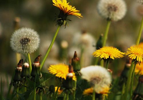 尿道炎多喝水能自愈吗