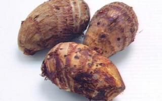 芋头的功效与作用及禁忌,吃芋头有什么好处,芋