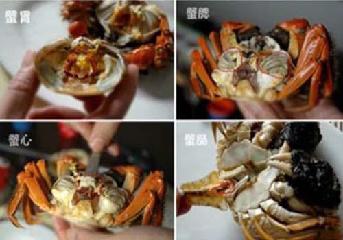 教你怎么吃螃蟹（组图）