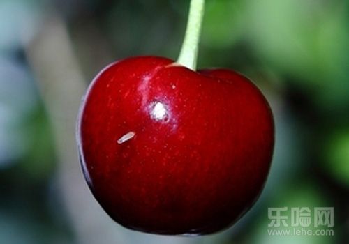 虫子里面的樱桃吃食材鸭血窍门图片