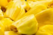 菠萝蜜可以放冰箱冷冻吗 菠萝蜜放冰箱能放多久