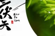 三伏天注意事项有哪些 三伏天应该吃什么养生