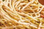鱼腥草是折耳根吗 鱼腥草的功效作用是什么
